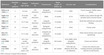 Endourological treatment of upper tract urinary disease in children